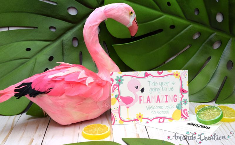 Flamingo Back to School Postcards