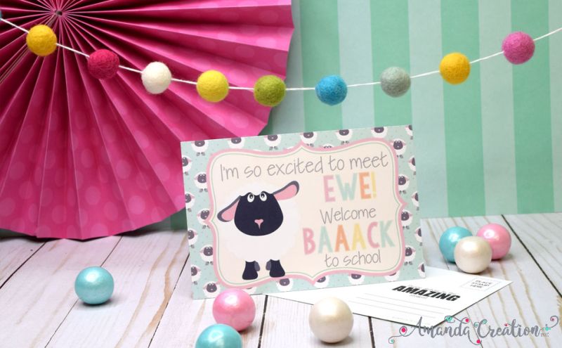 Funny Sheep Back to School Postcards